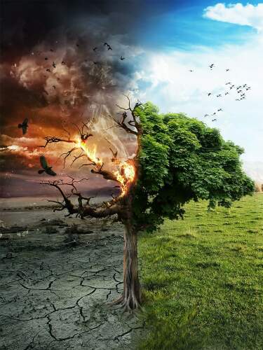 Наше будущее: свалка или жизнь?